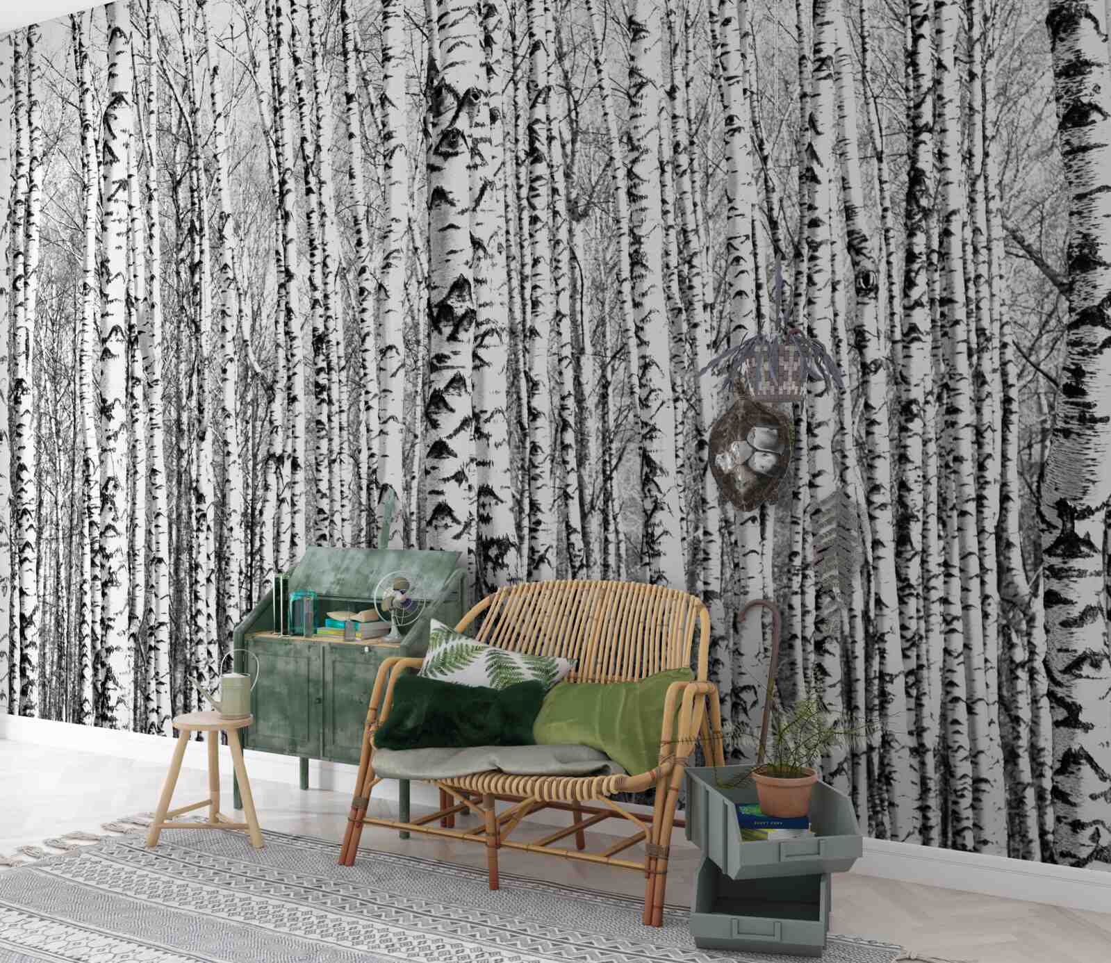 Fototapeta veľa brezy