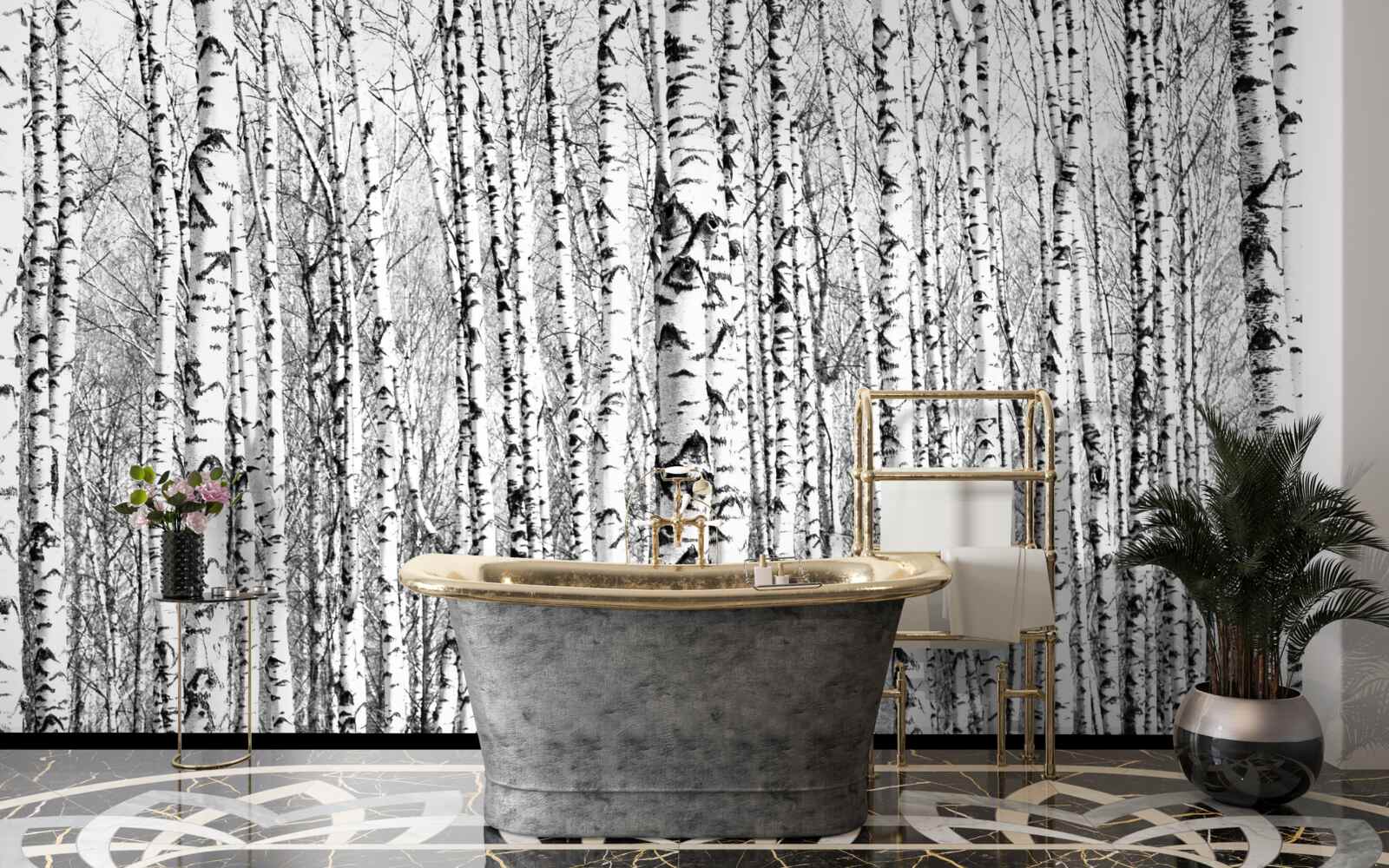 Fototapeta veľa brezy