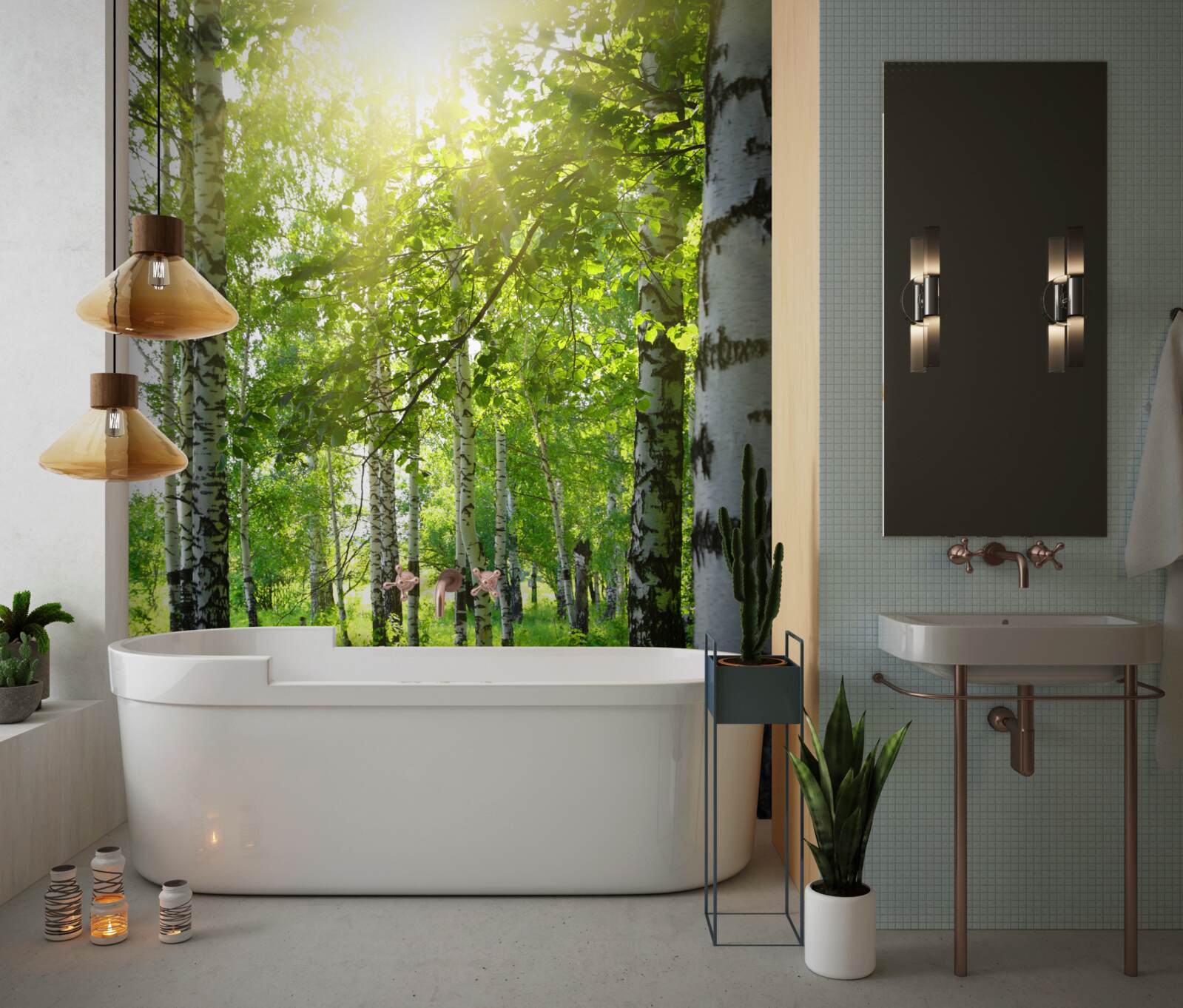 Fototapeta slnečné lúče v brezovom háji