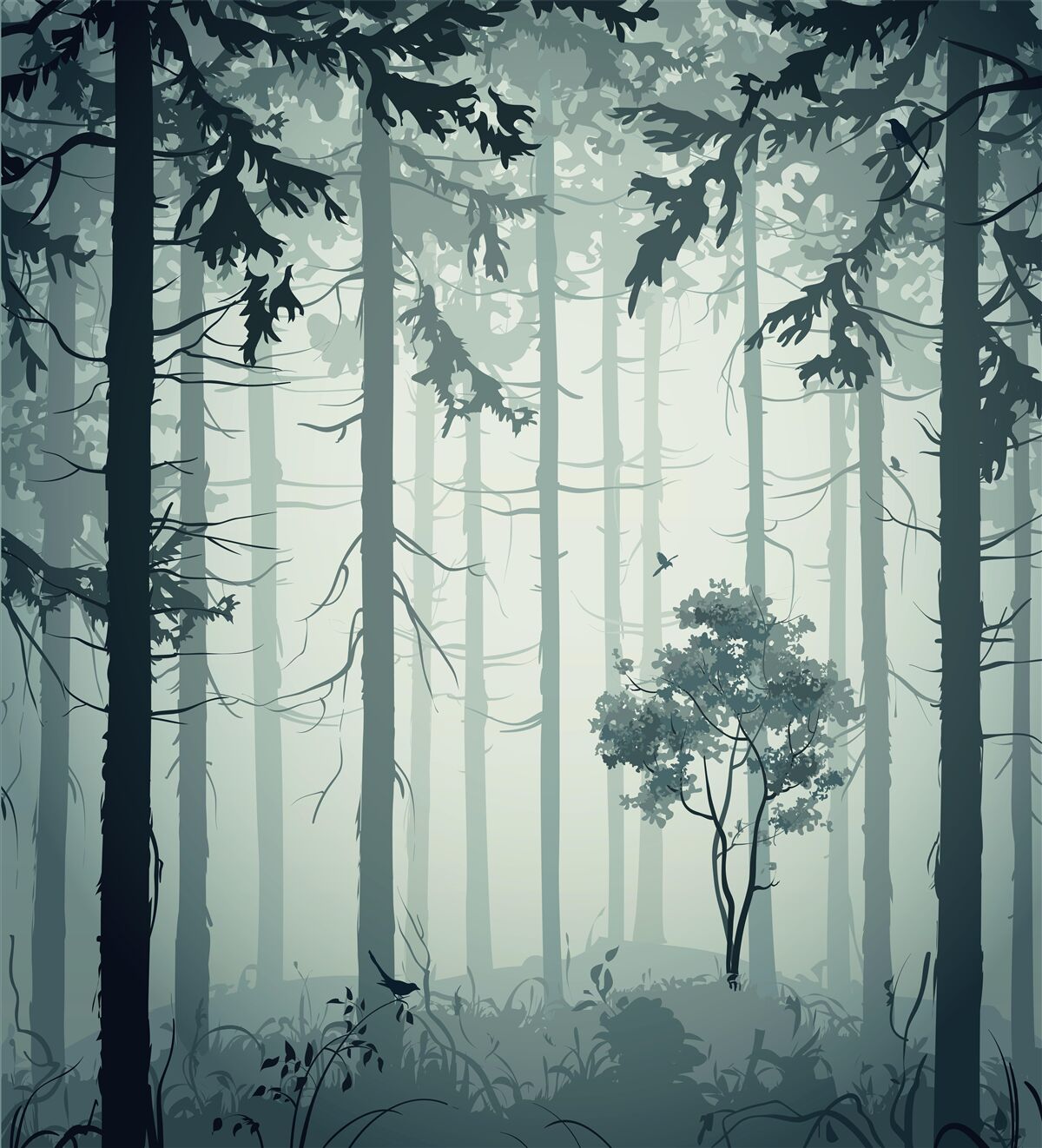 Fototapeta les zahalený v tajomnej hmle