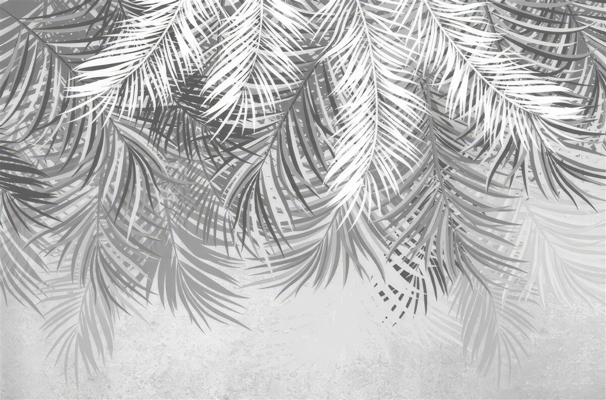 Fototapeta visiace paprade v odtieňoch bielej a šedej