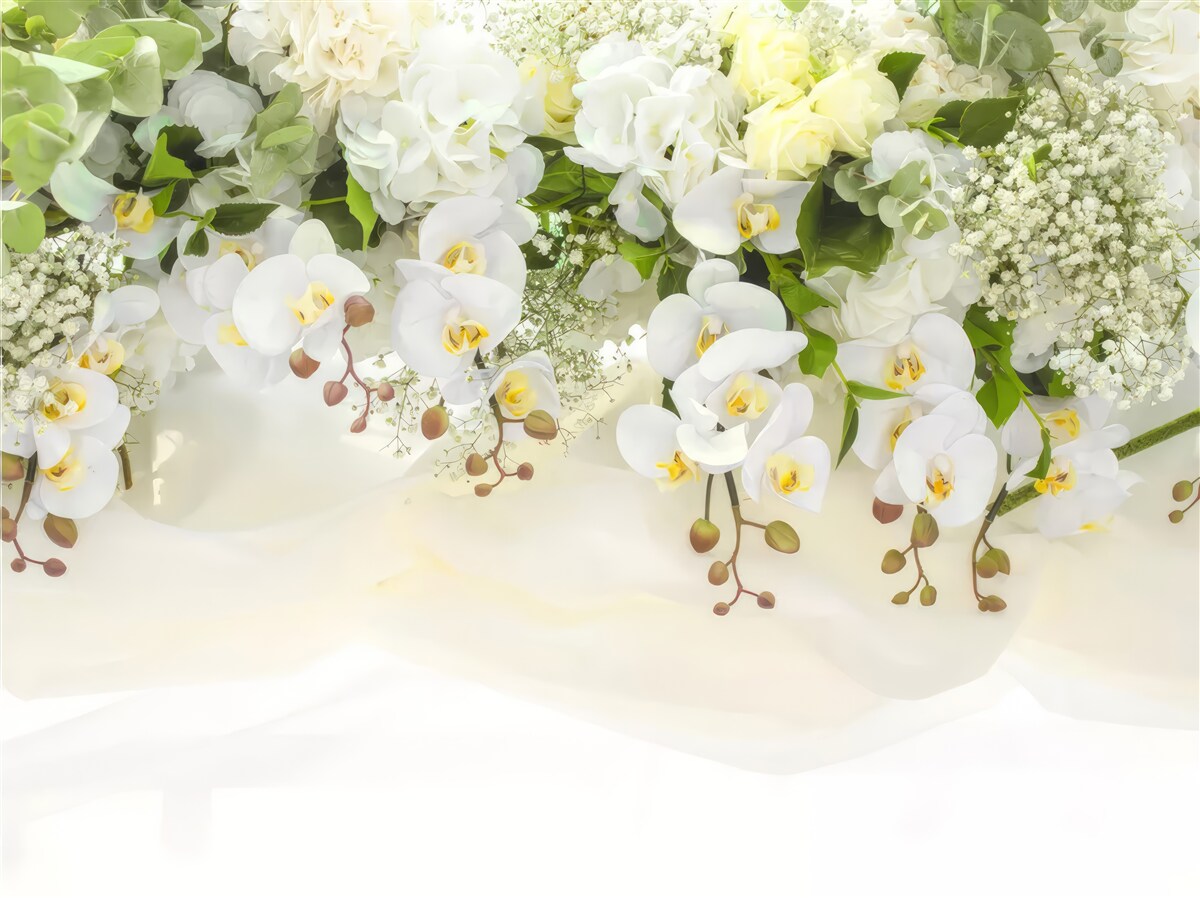 Fototapeta biele orchidey visia