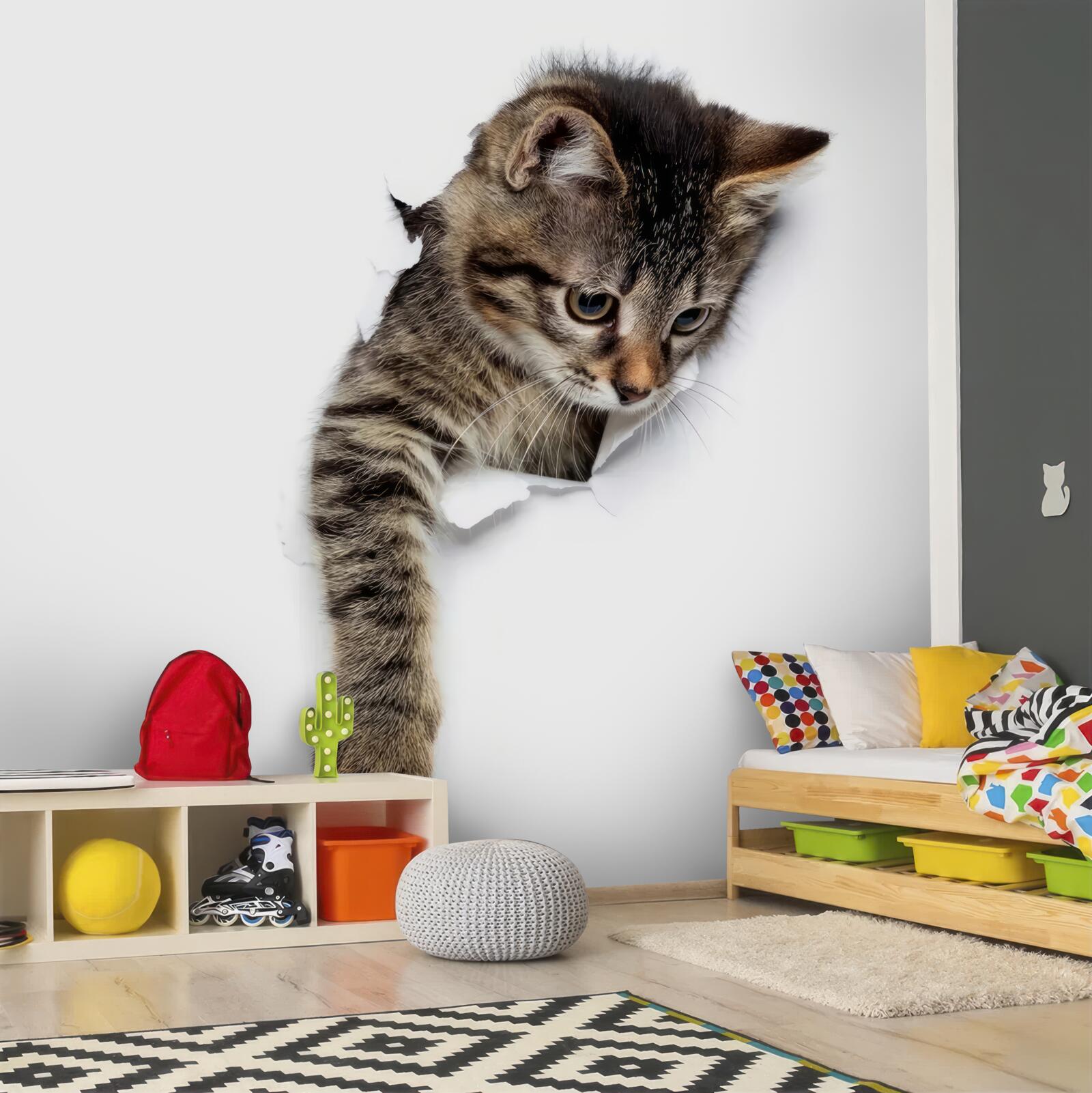 Fototapeta z bielej steny sa vynorí mačiatko