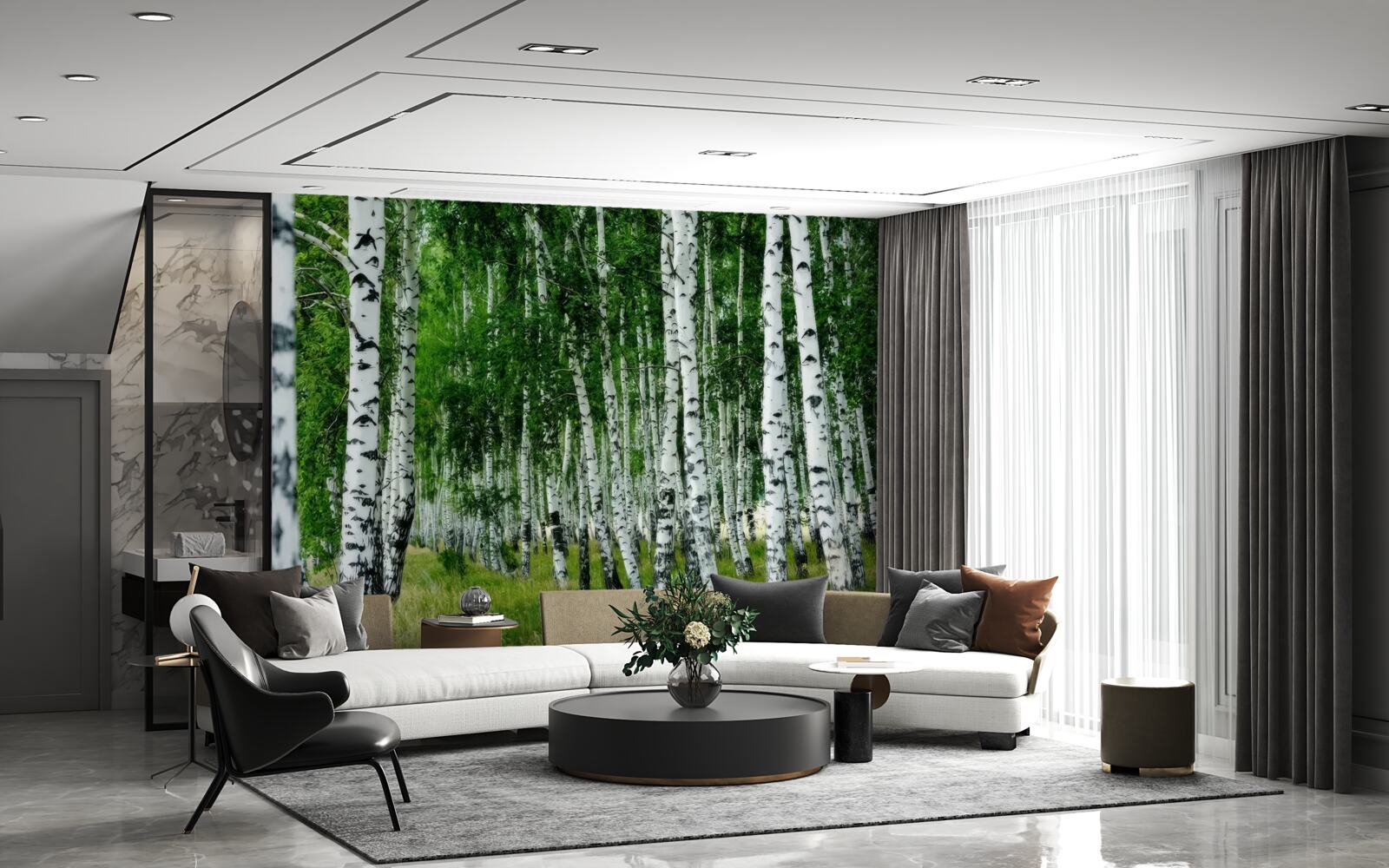 Fototapeta hustý brezový háj