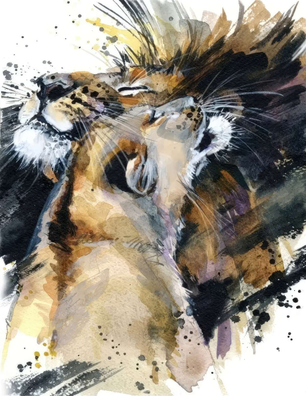 Fototapeta obrazy leva a levice