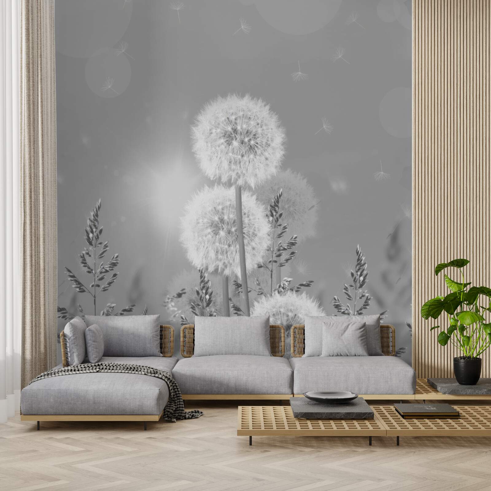 Fototapeta púpavy v odtieňoch čiernej a bielej