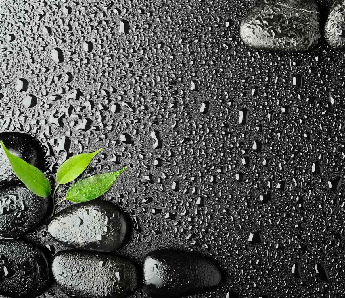 Fototapeta zelené listy a čierne kamene