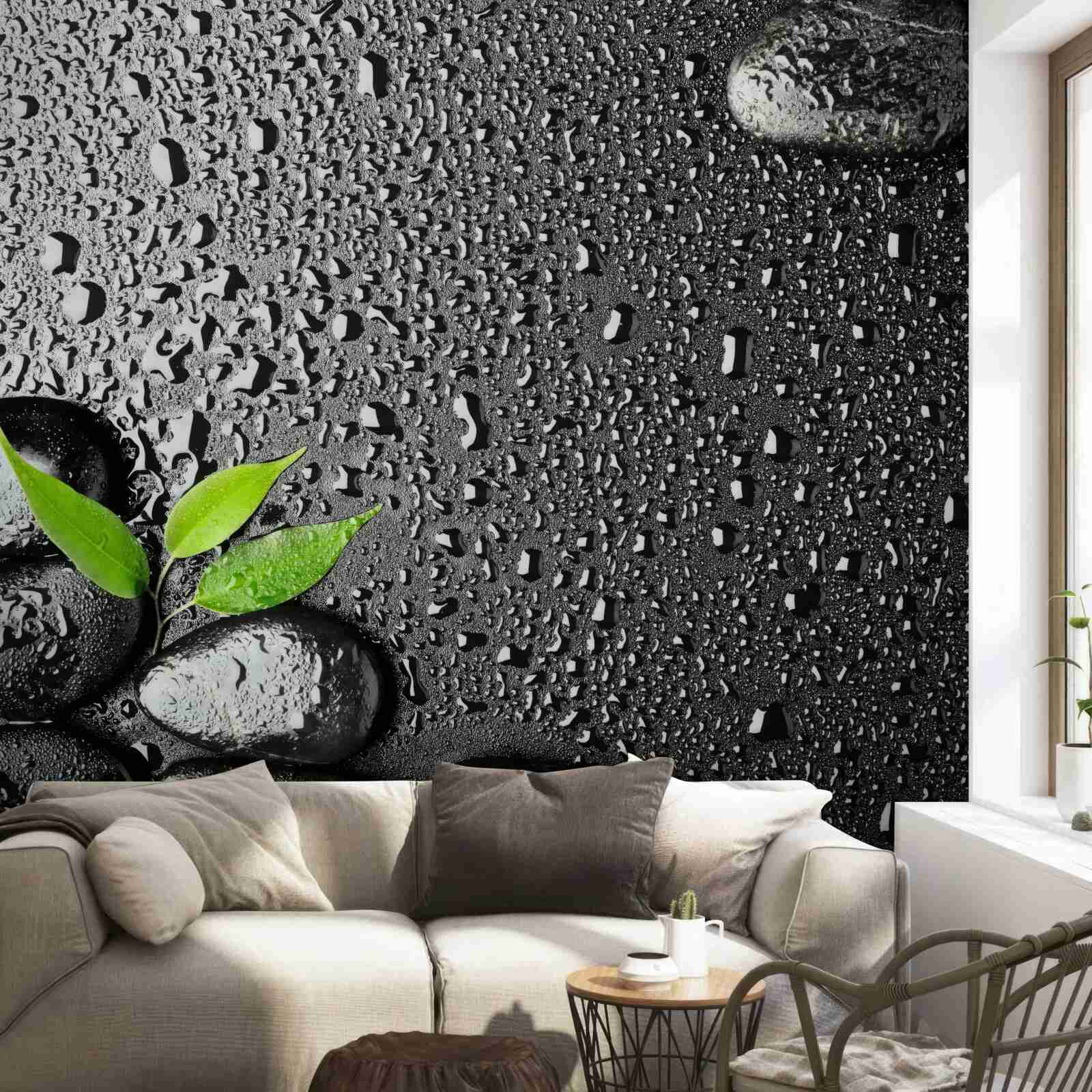 Fototapeta zelené listy a čierne kamene