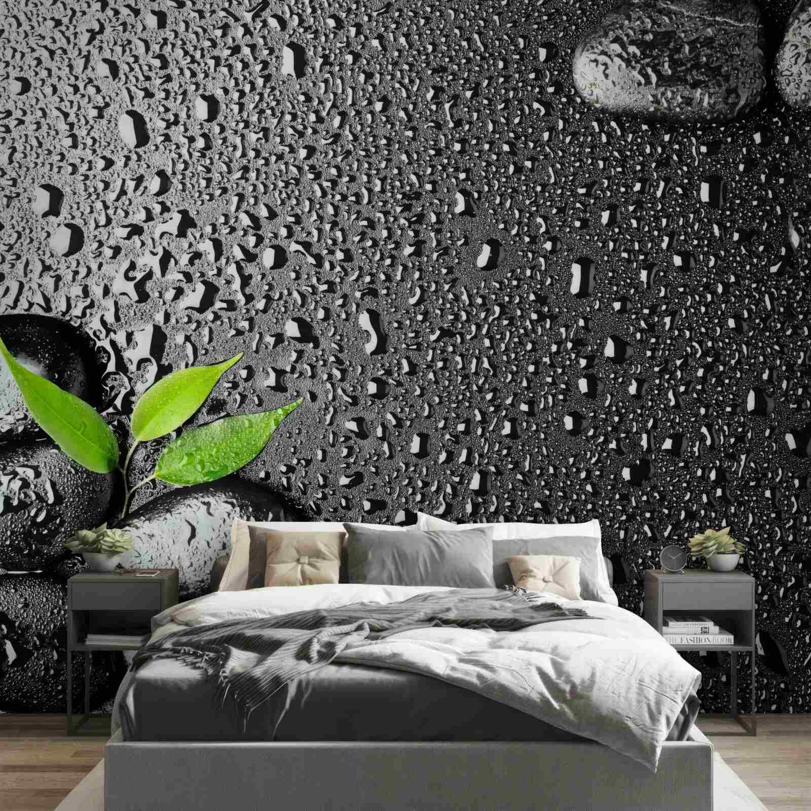 Fototapeta zelené listy a čierne kamene