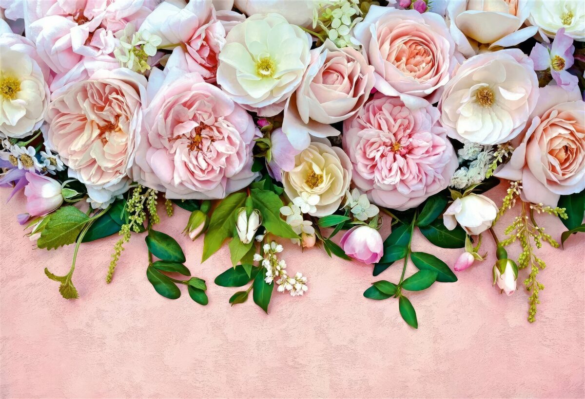 Fototapeta ľahké a jemné ruže