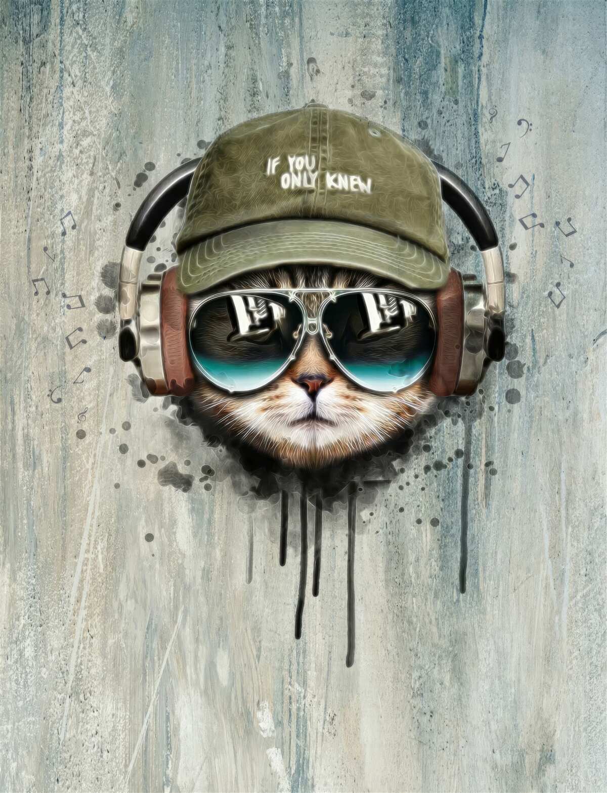 Fototapeta módna mačka