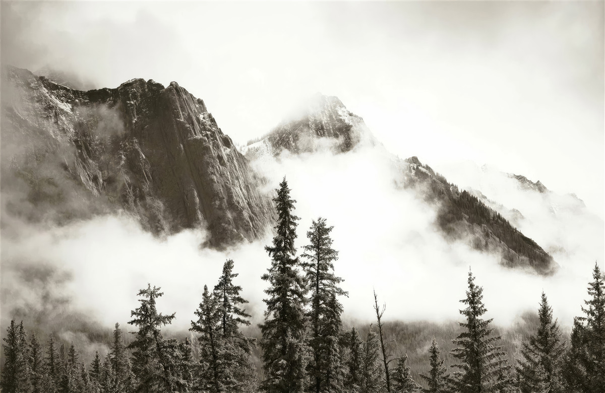 Fototapeta hory v čiernej a bielej farbe, zahalené v hmle