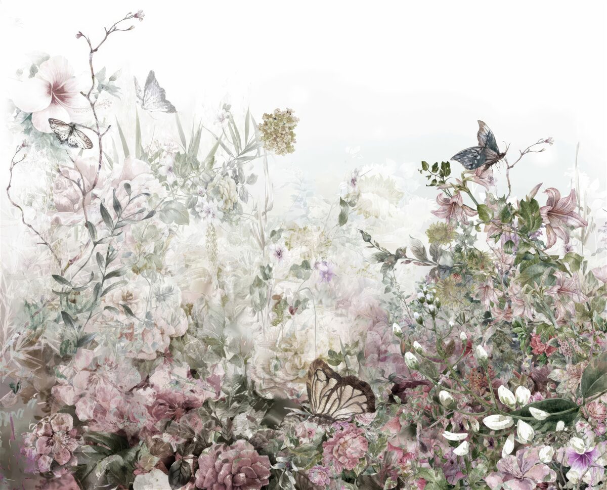 Fototapeta rastliny, na ktorých sedia motýle