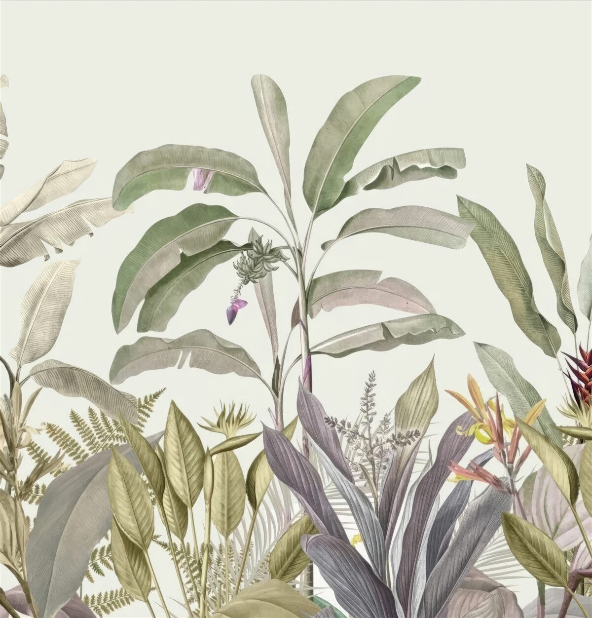 Fototapeta riedko tvarované rastliny a listy