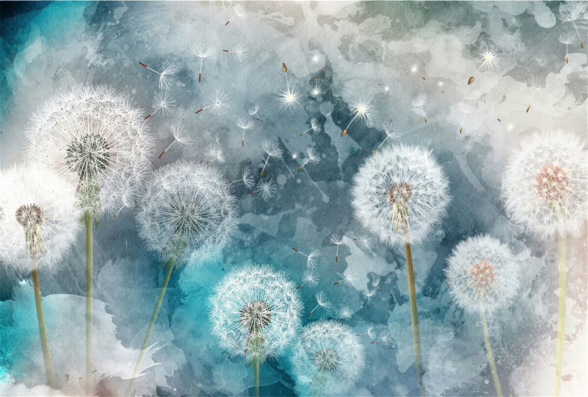 Fototapeta Žlté kvety na modrom pozadí