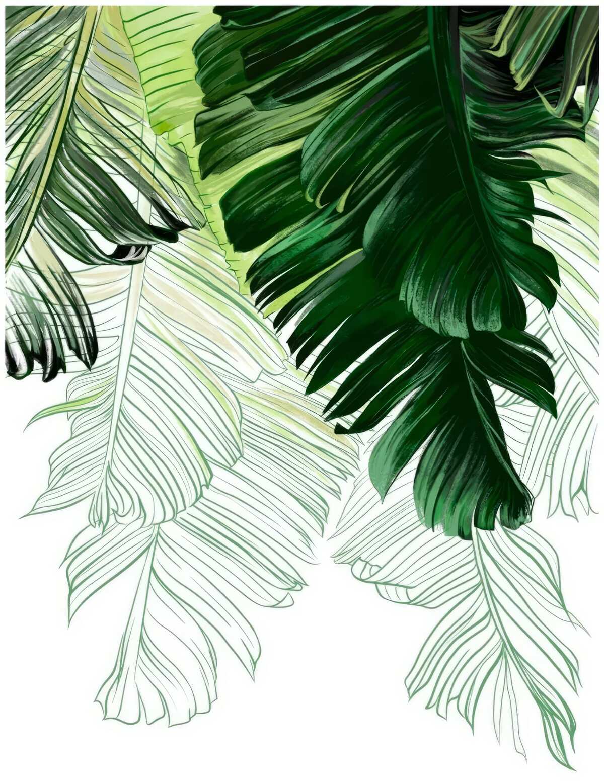 Fototapeta zelené odtiene veľkých listov paprade