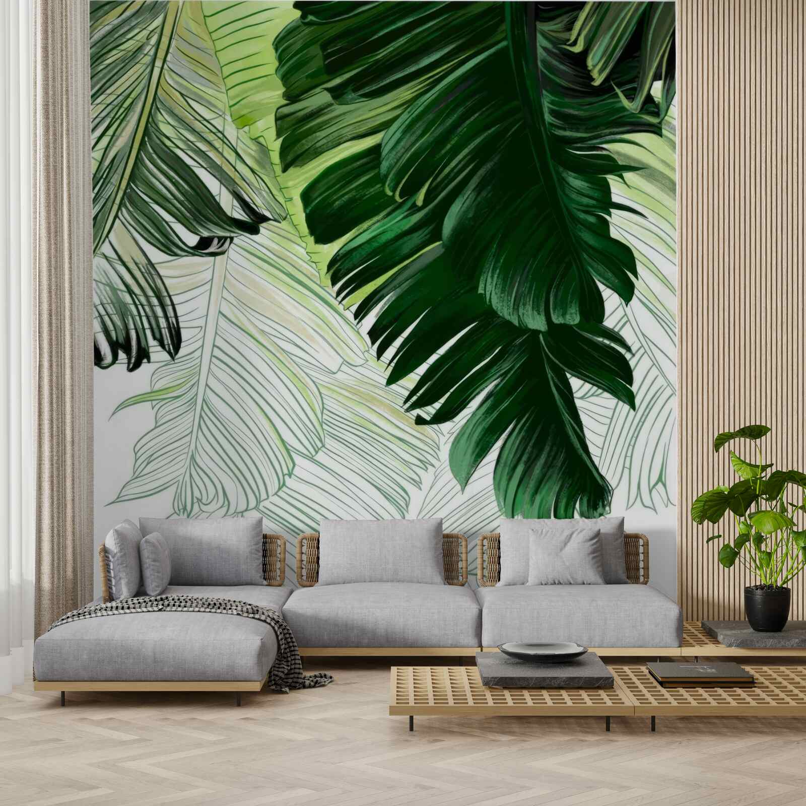 Fototapeta zelené odtiene veľkých listov paprade