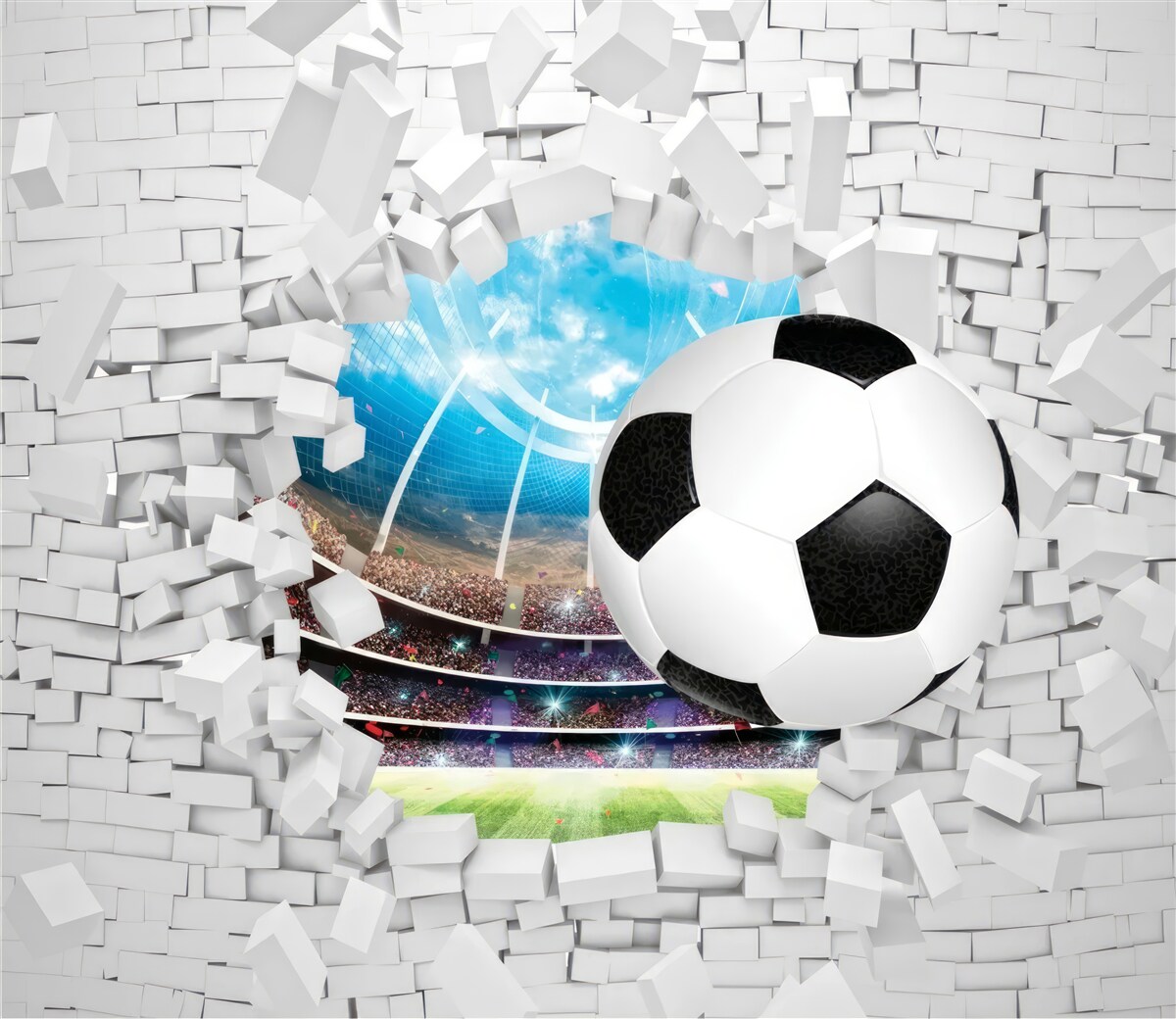 Fototapeta futbalové ihrisko a lopta