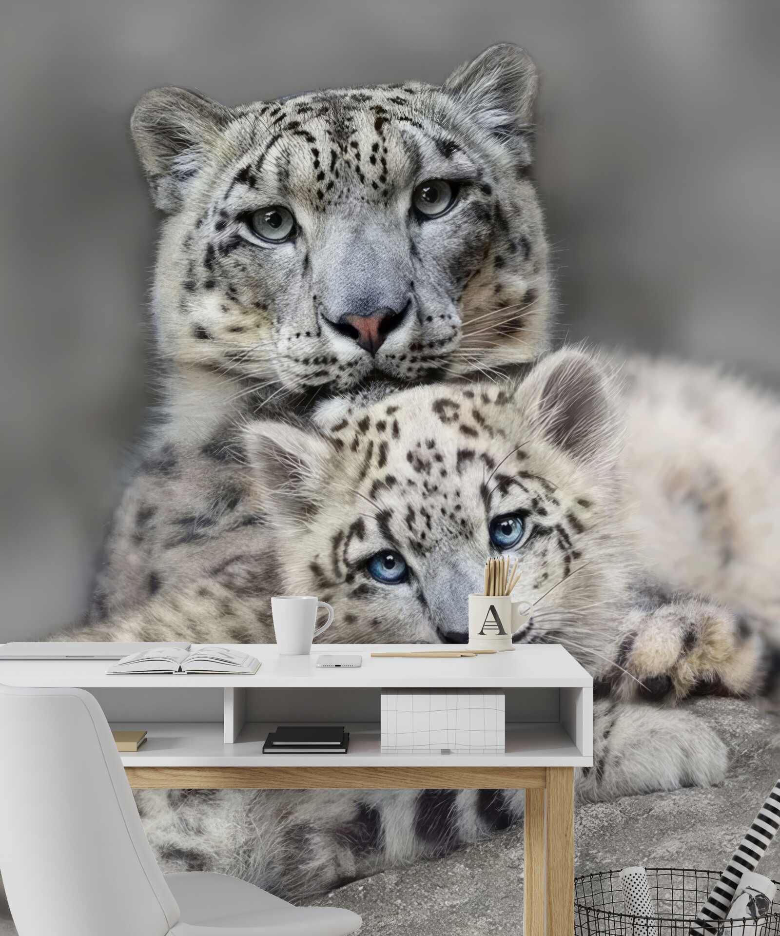 Fototapeta leopard s mláďaťom