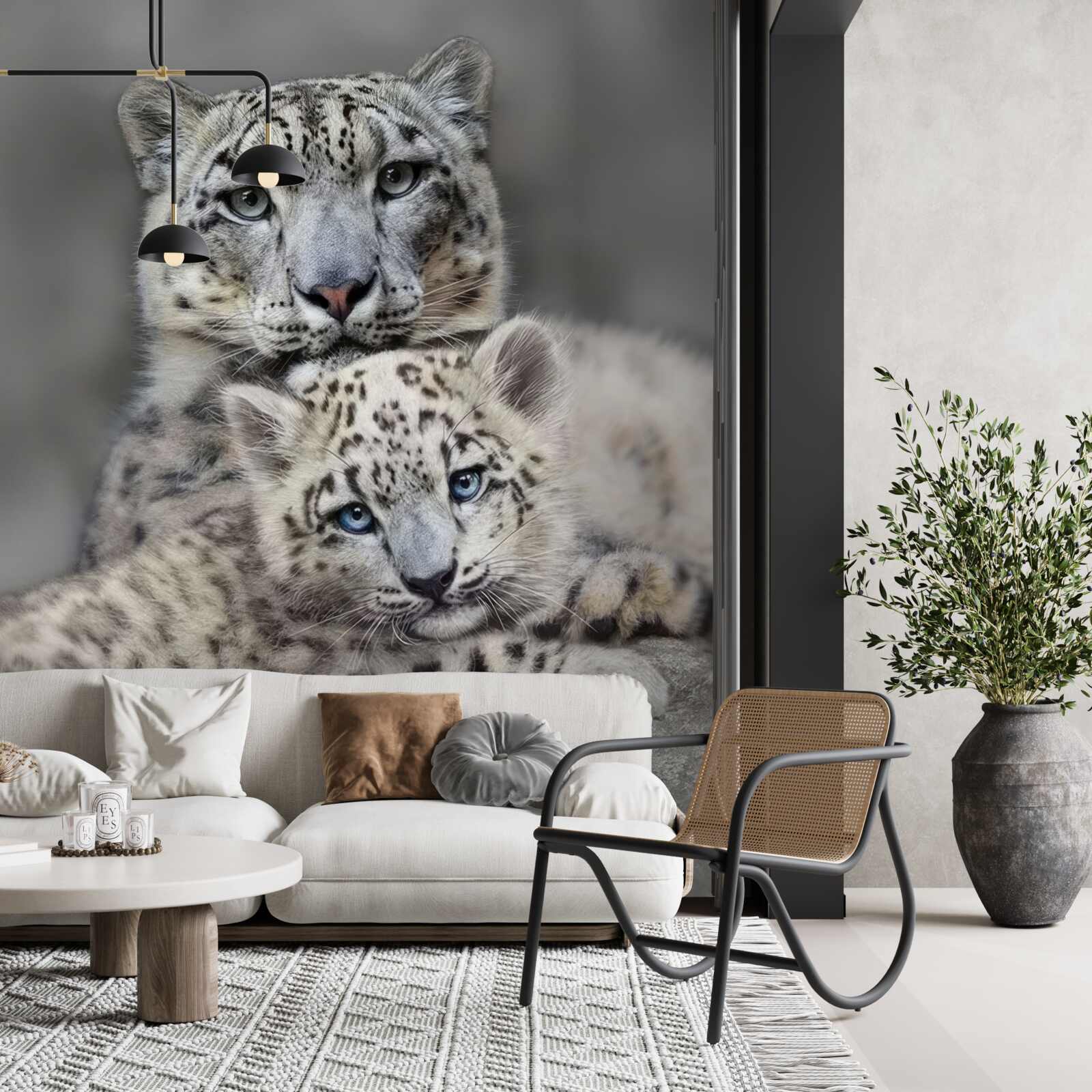 Fototapeta leopard s mláďaťom