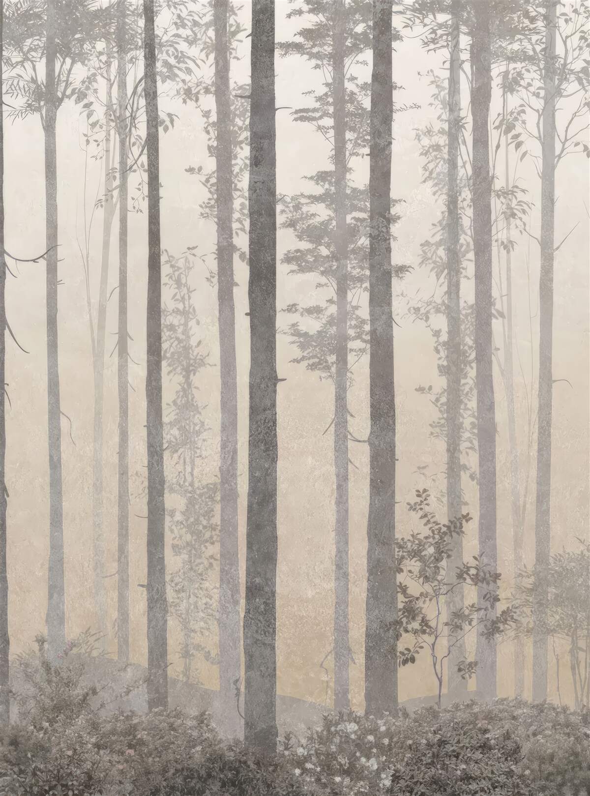 Fototapeta hmlový les