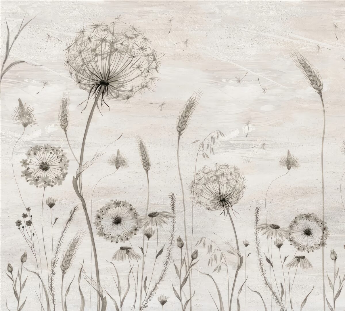 Fototapeta púpava a klasy pšenice ilustrácie