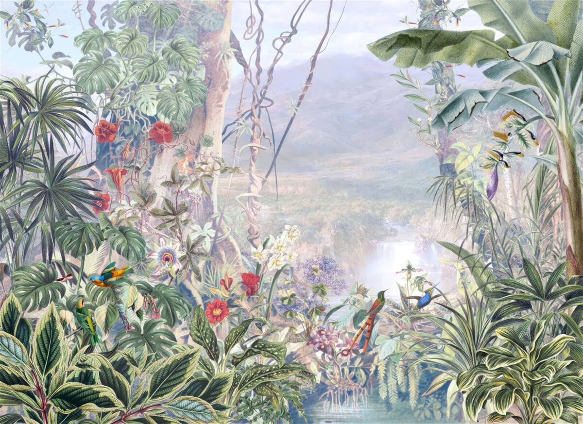 Fototapeta operených obyvateľov džungle