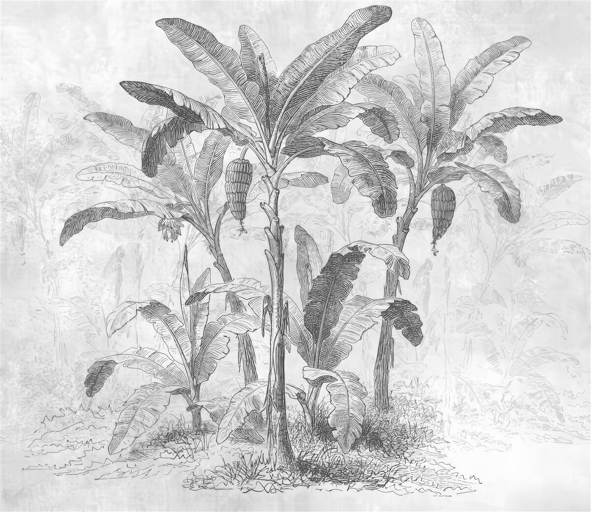 Fototapeta Zobrazené palmy