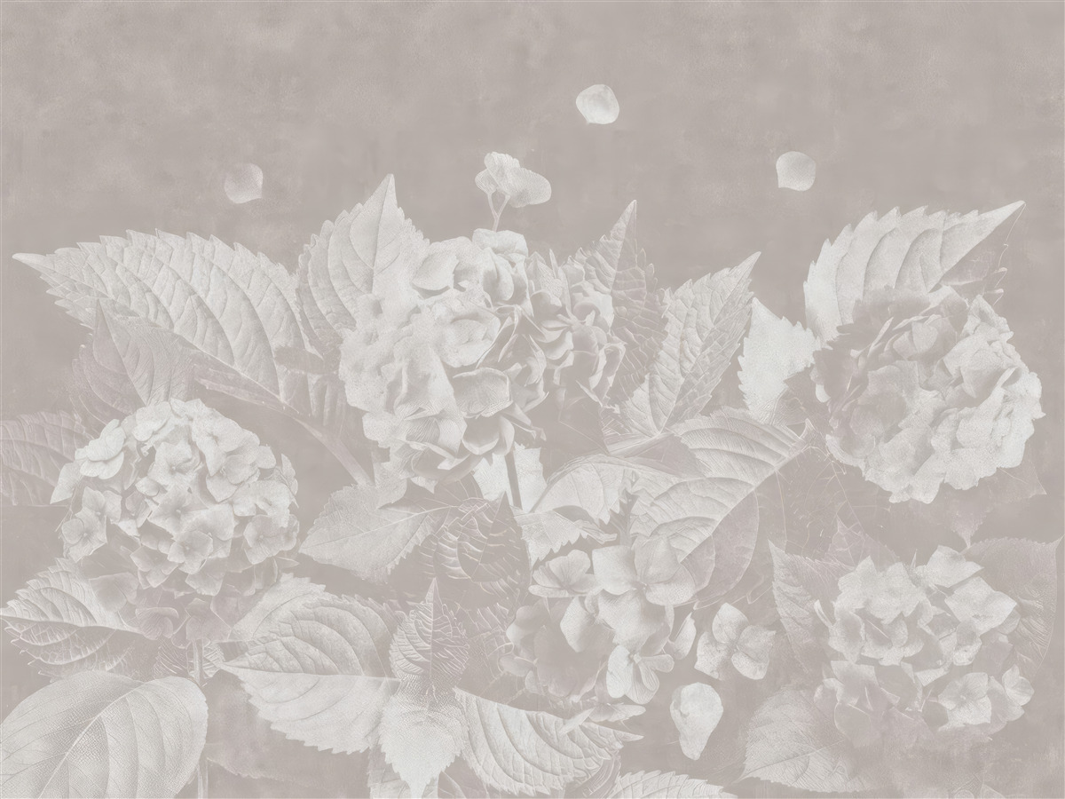 Fototapeta magnólie je ťažké vidieť