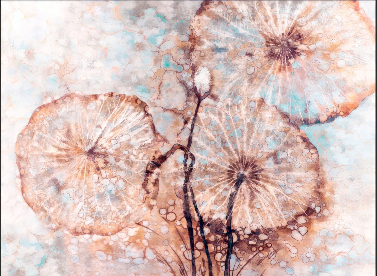 Fototapeta rastlina prezentovaná nezvyčajným spôsobom