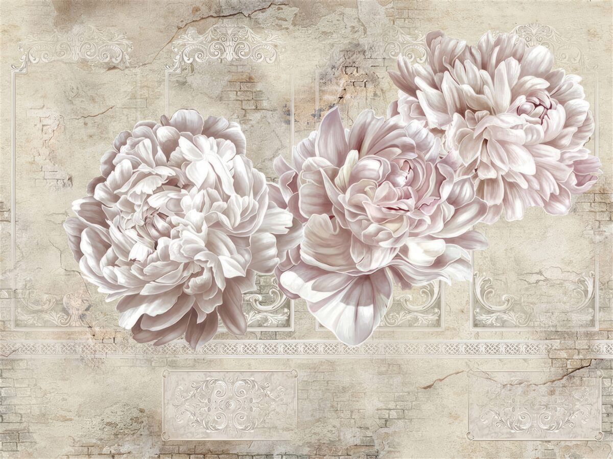 Fototapeta veľké svetlé pivonky