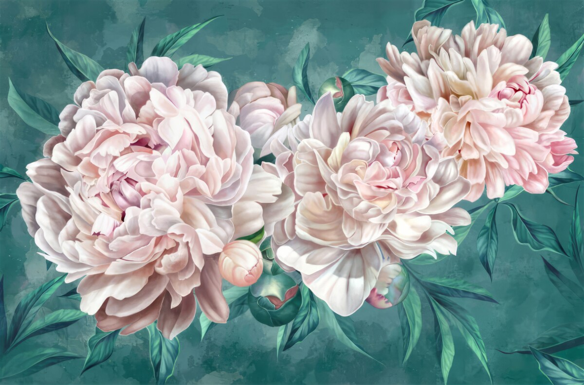 Fototapeta pivonky v jemnom ružovom odtieni