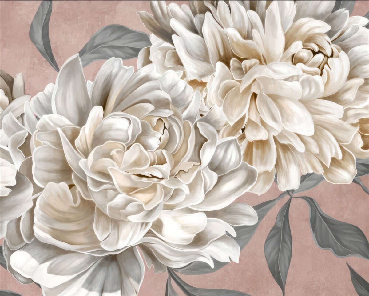 Fototapeta obrovské snehobiele pivonky