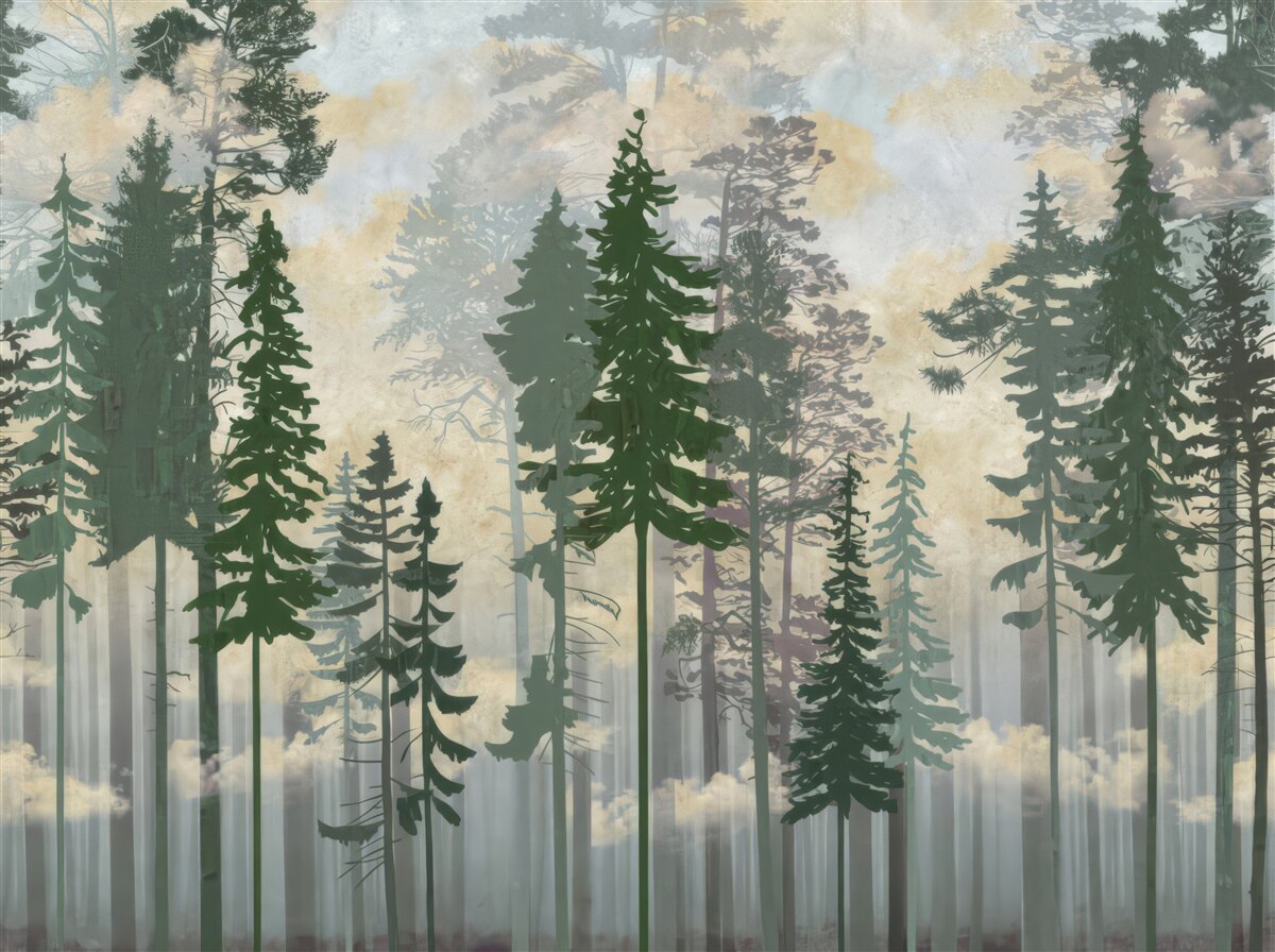 Fototapeta hmlistý les zahalený stromami