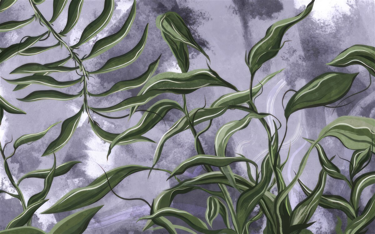 Fototapeta Pod vodou sú zelené listy paprade