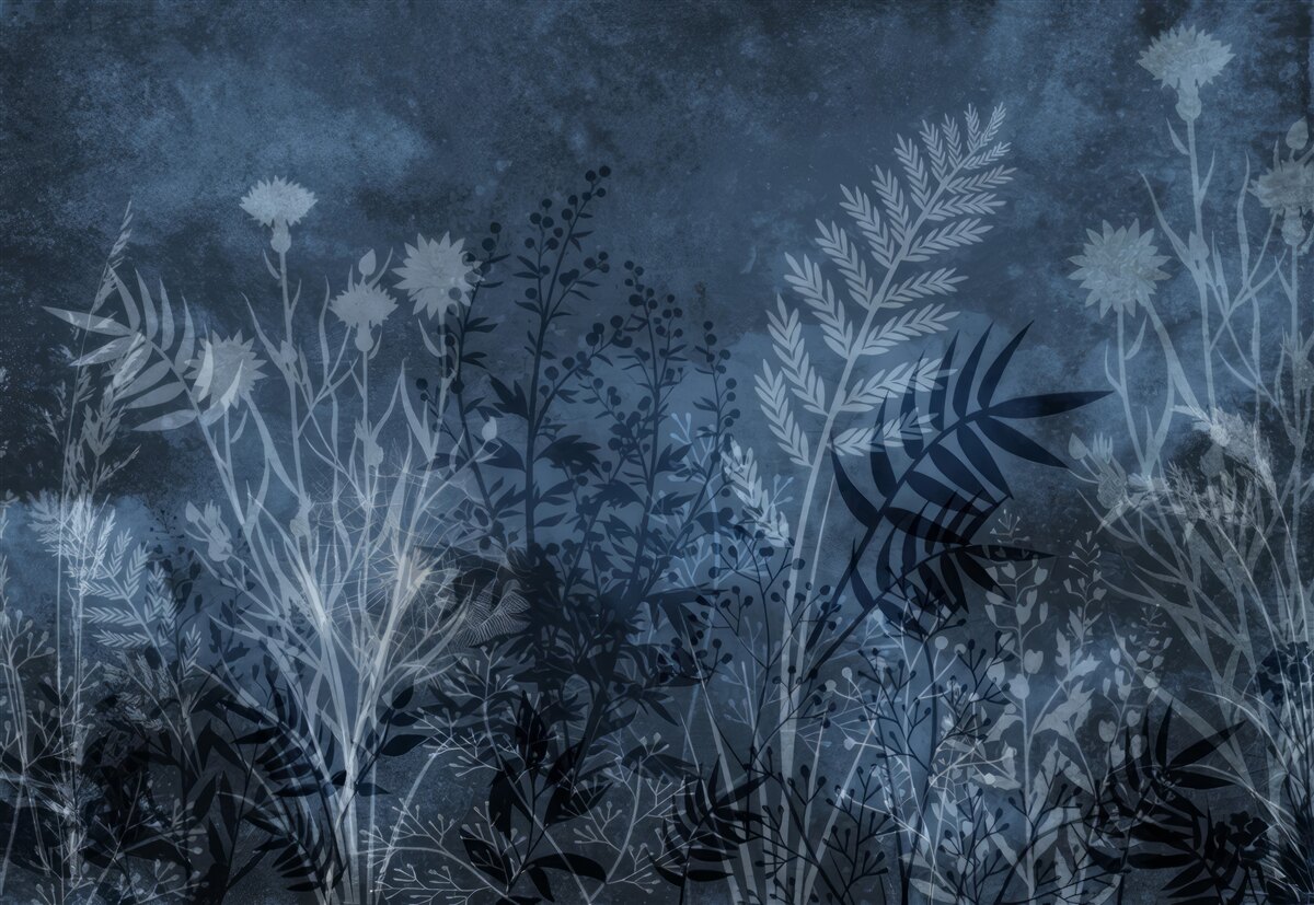 Fototapeta nočný mesiac osvetľuje lúku a rastliny