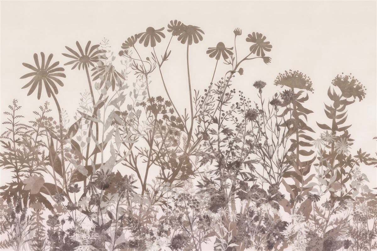 Fototapeta Lúka je husto pokrytá vegetáciou