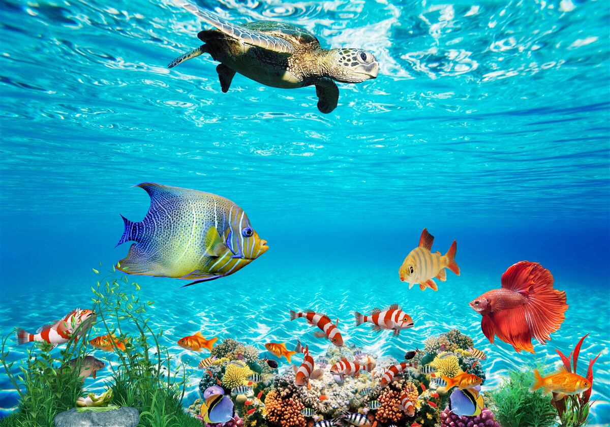 Fototapeta morskí obyvatelia hlbín oceánu