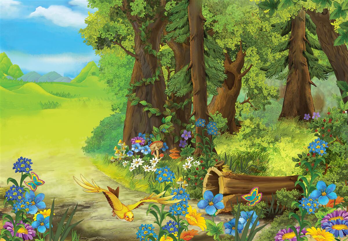 Fototapeta čarovný zelený letný les