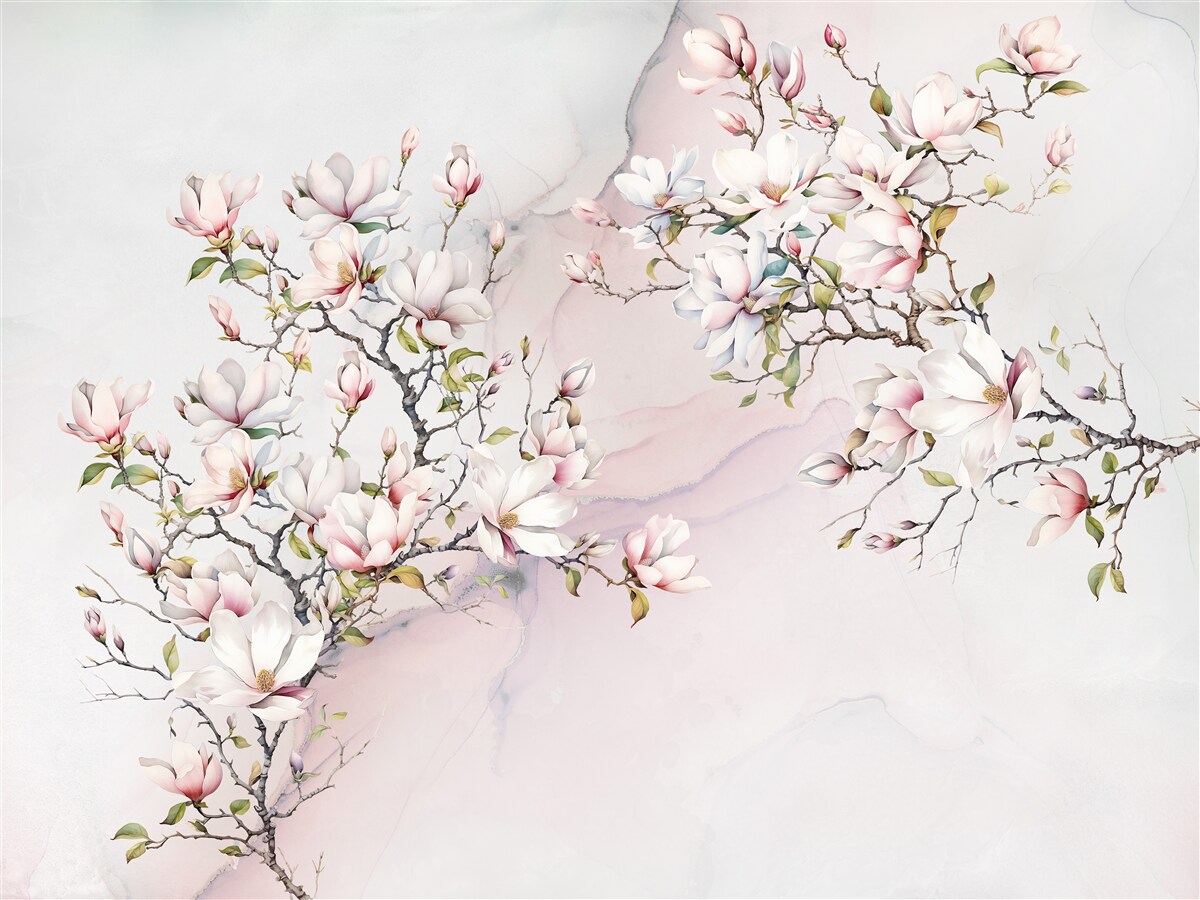 Fototapeta Vetvy bielej a ružovej magnólie sú pôvabné a krásne