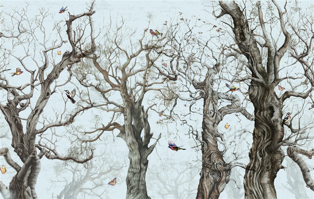 Fototapeta stromy na jeseň, ktoré zhodili listy