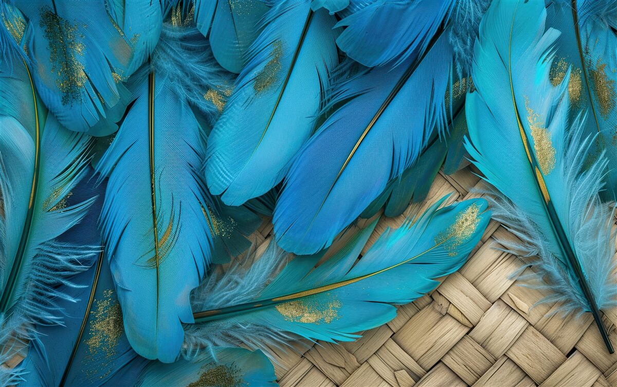 Fototapeta krásne nadýchané pierka sýtej modrej farby