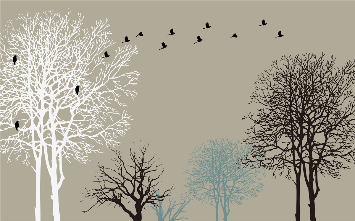 Fototapeta vtáky lietajú nad korunami stromov