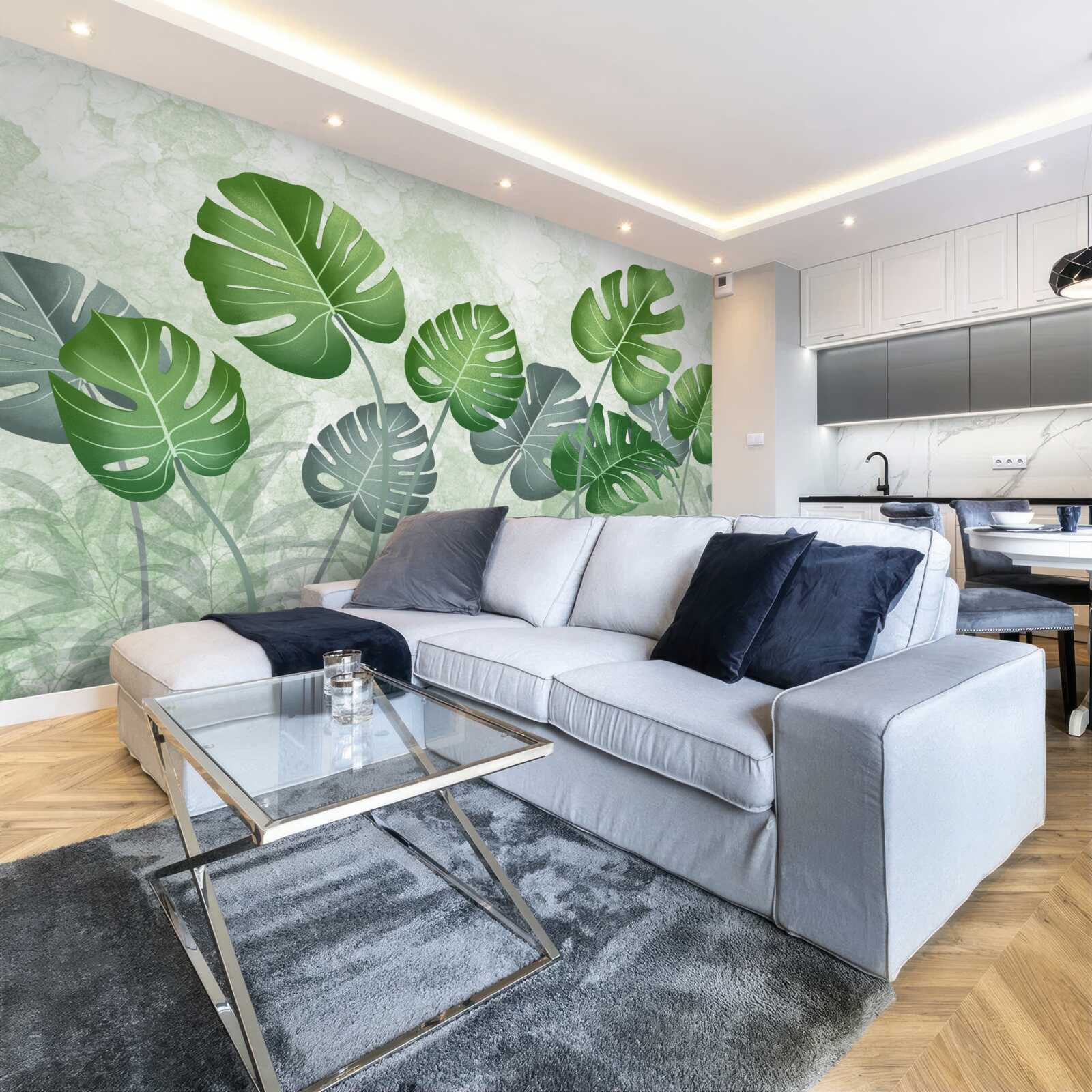 Fototapeta veľké listy monstera a paprade