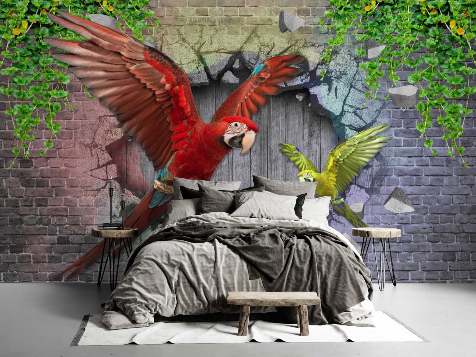 Fototapeta papagáje prechádzajú cez stenu