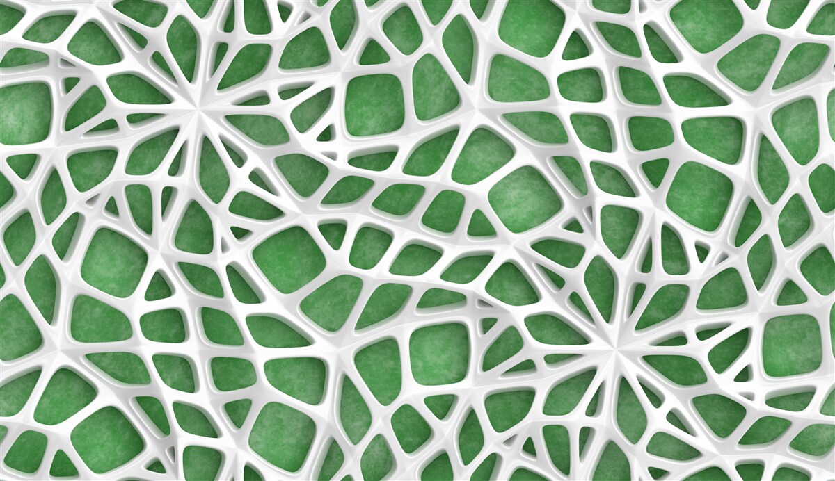 Fototapeta na zelenom pozadí je veľká biela pavučina