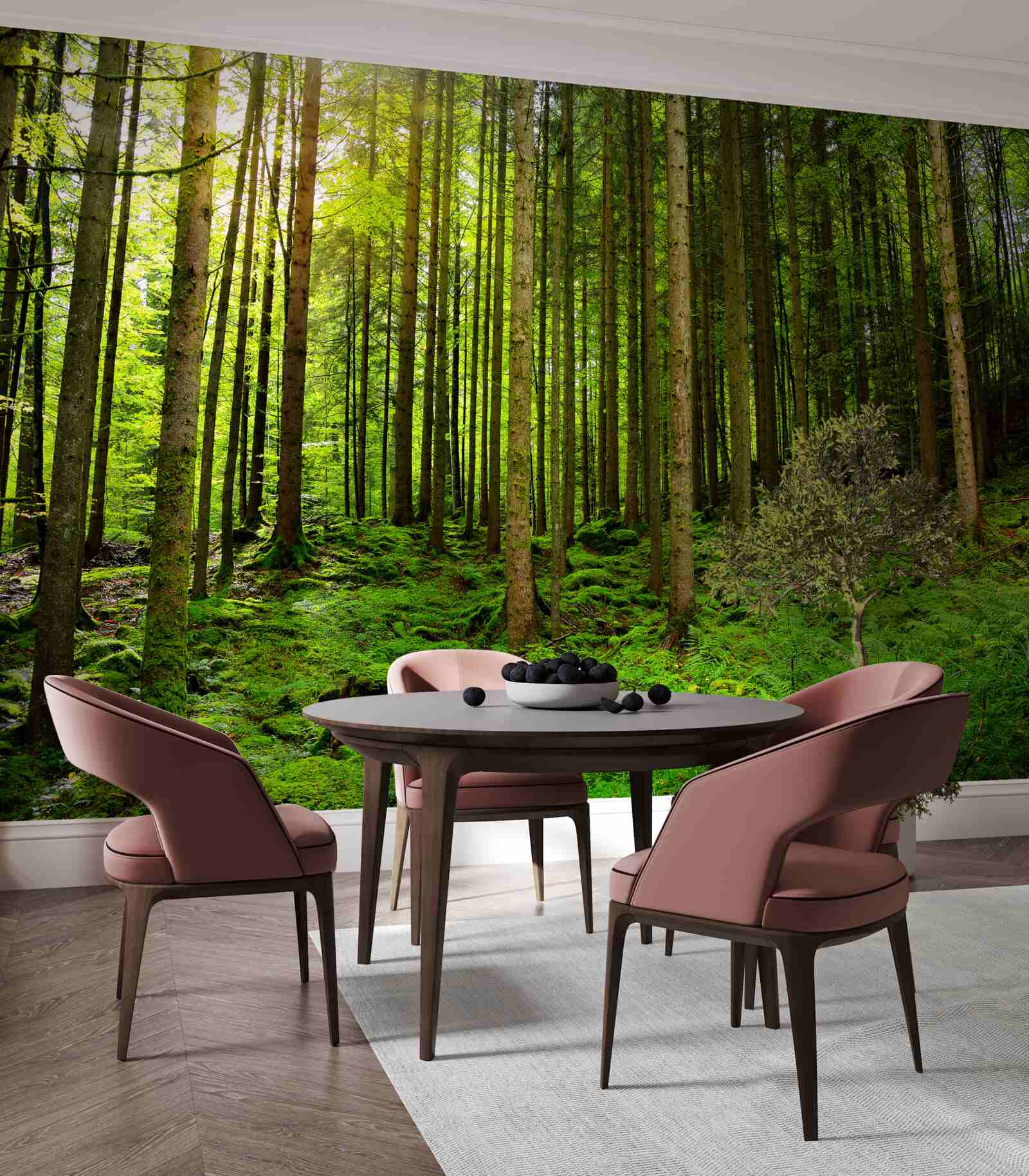 Fototapeta slnečné lúče prenikajú do lesa