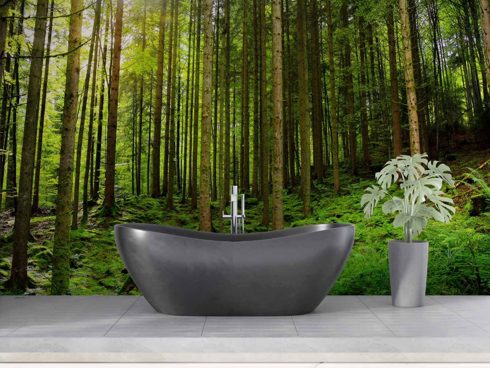 Fototapeta slnečné lúče prenikajú do lesa