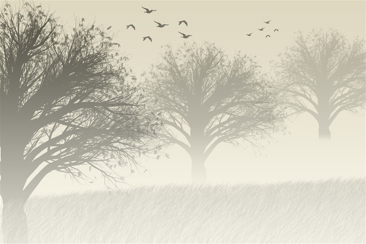 Fototapeta vtáky odlietajú na zimu