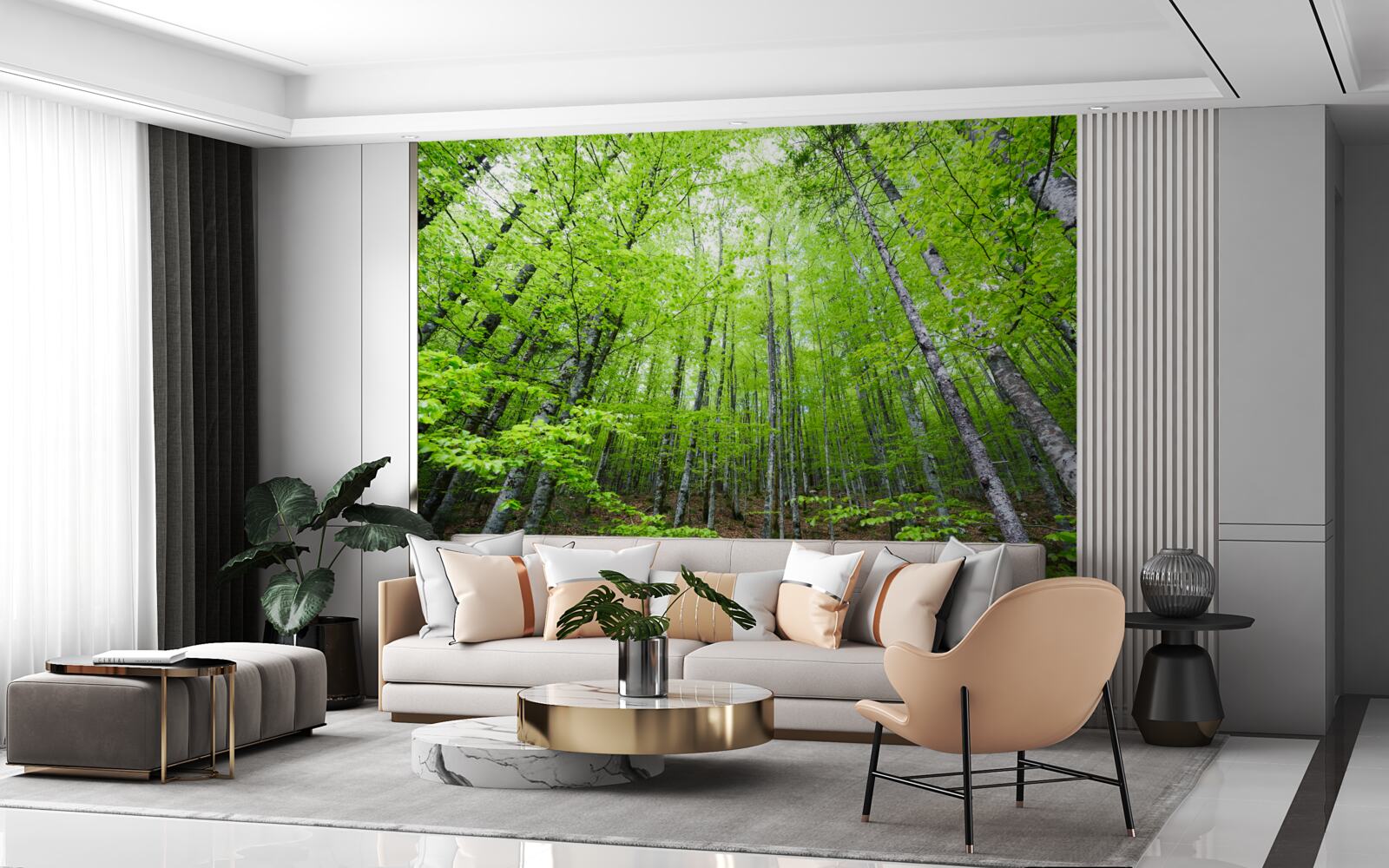 Fototapeta zelené koruny stromov v lese jasne žiaria